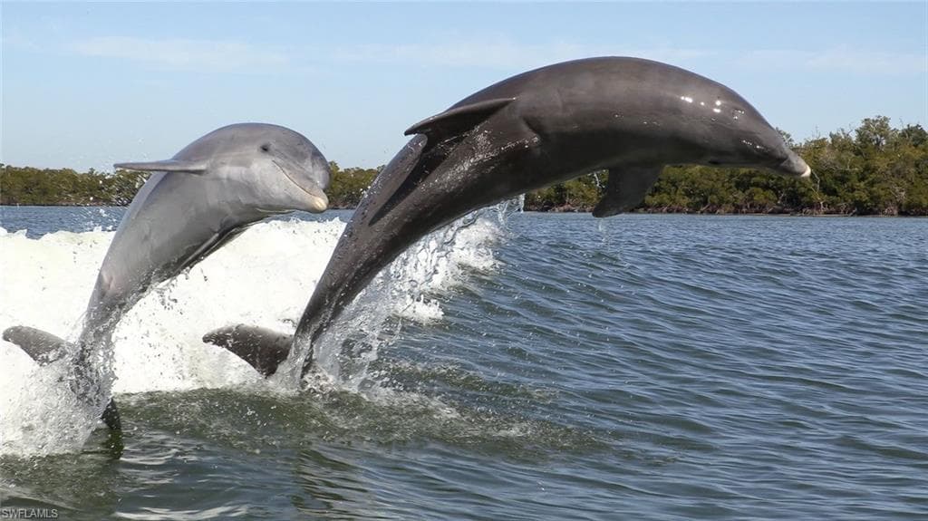 147 Capri BLVD, NAPLES FL 34113-15