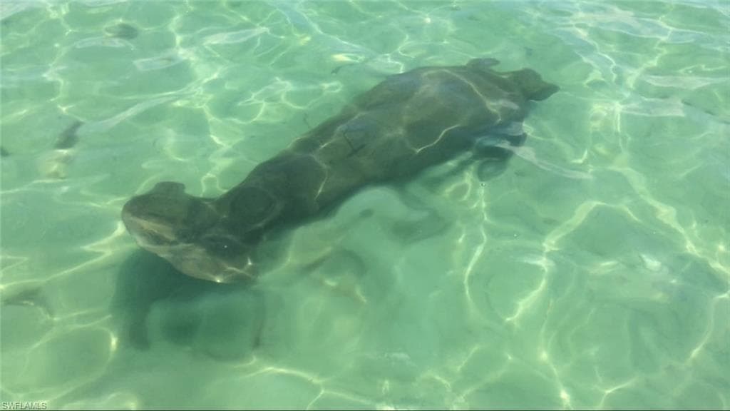 147 Capri BLVD, NAPLES FL 34113-18