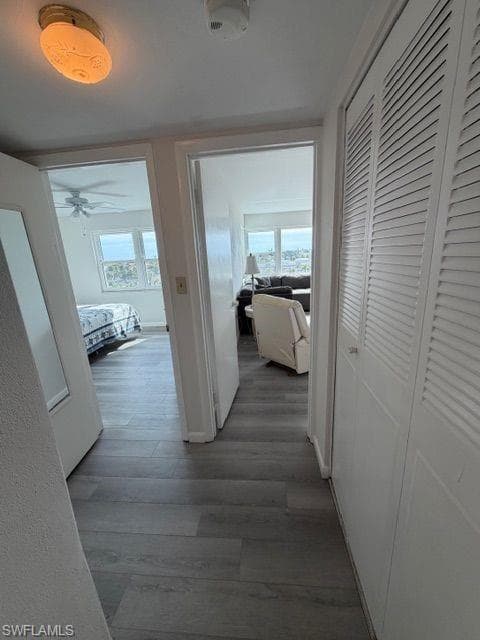 1900 Clifford ST # 705, FORT MYERS FL 33901-17