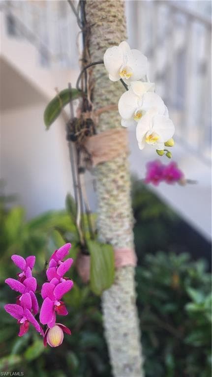 1220 Sarah Jean CIR # L103, NAPLES FL 34110-33