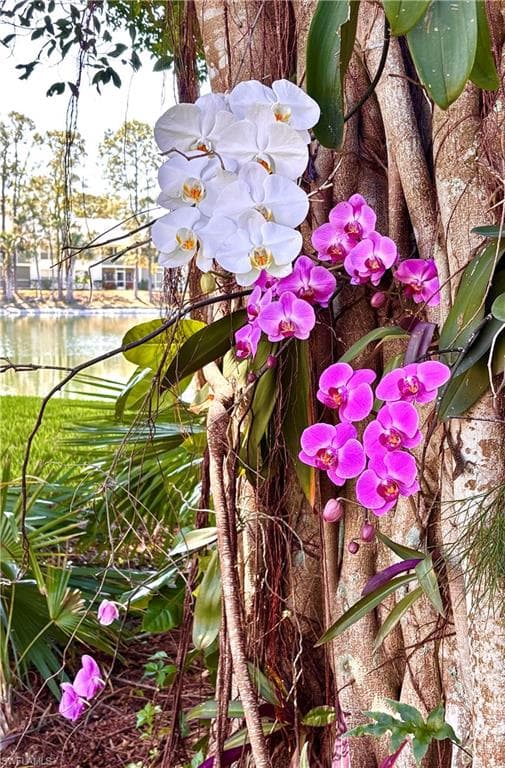 1220 Sarah Jean CIR # L103, NAPLES FL 34110-34