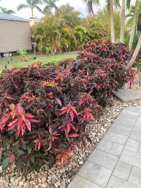 10309 Fire Flag TRL, FORT MYERS FL 33905-21
