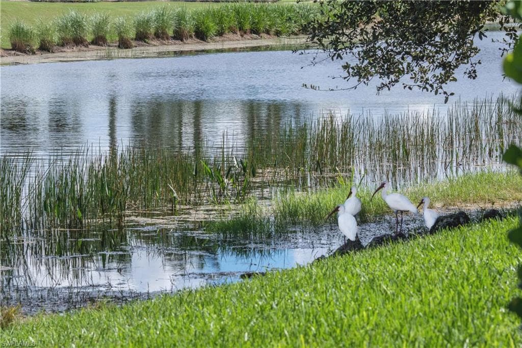 10295 Heritage Bay BLVD # 911, NAPLES FL 34120-49