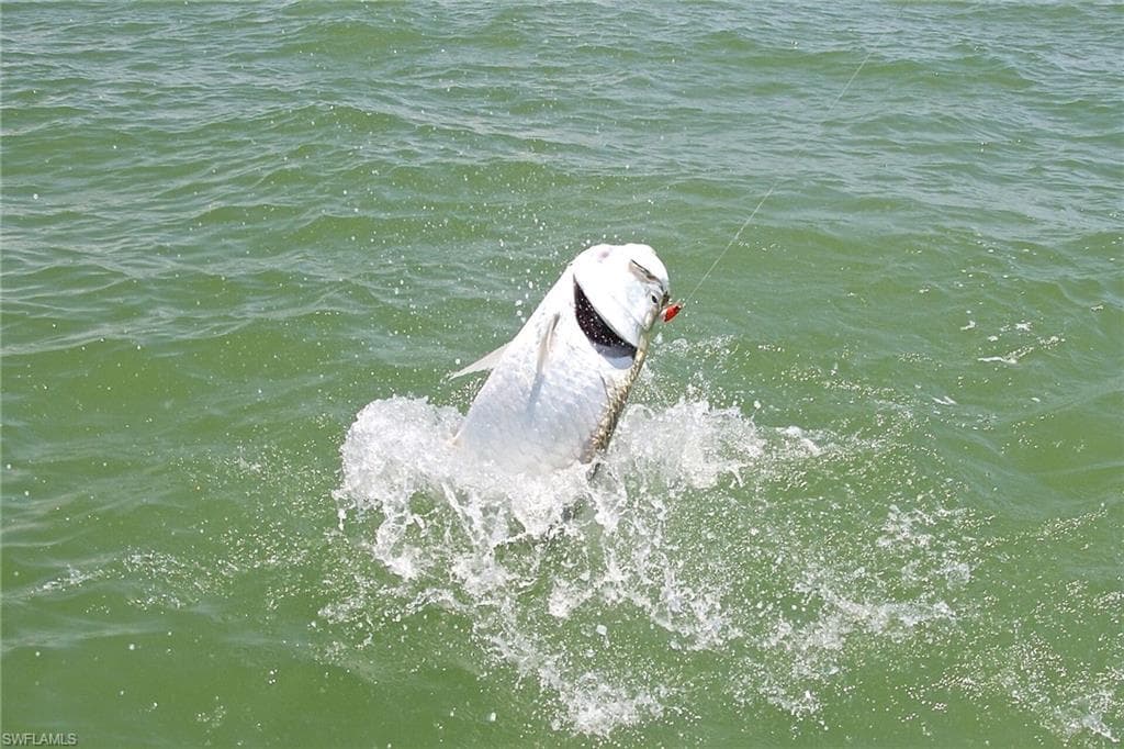 338 Newport DR # 1807, NAPLES FL 34114-35