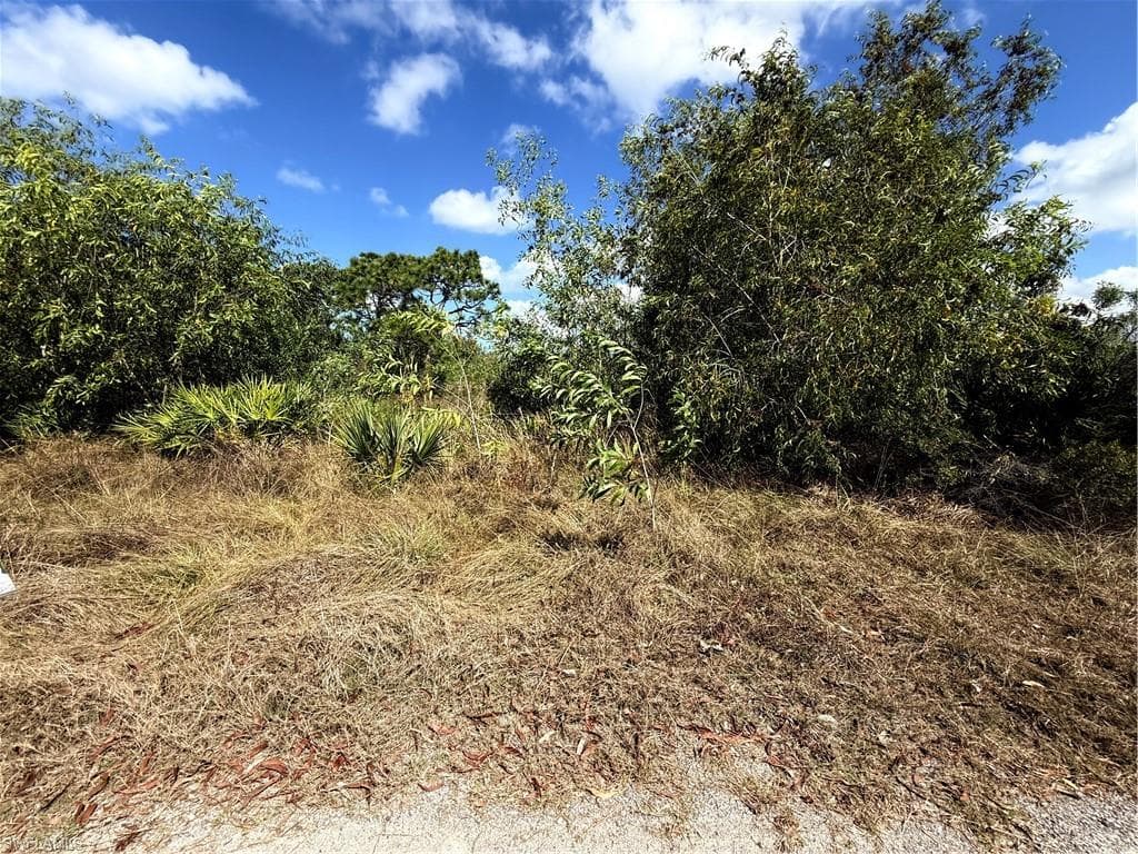 5950 Sandal LN-5