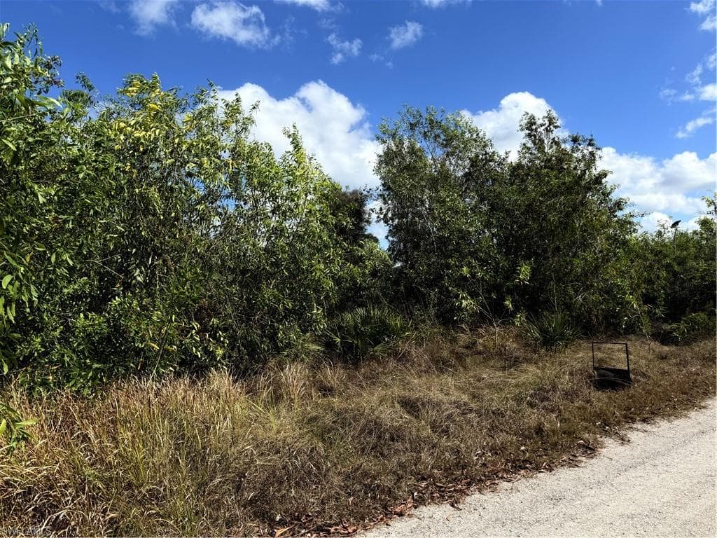 5950 Sandal LN-3