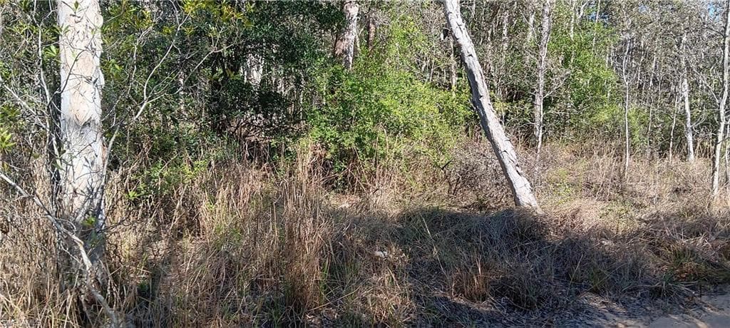 Vista Ridge DR, FORT MYERS FL 33913-1