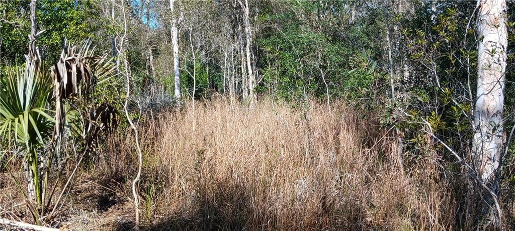 Vista Ridge DR, FORT MYERS FL 33913-2