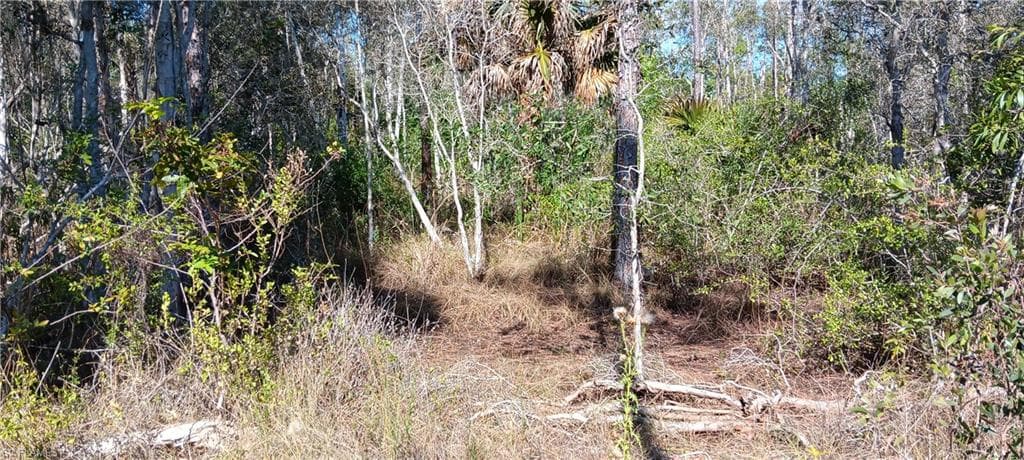 Vista Ridge DR, FORT MYERS FL 33913-2