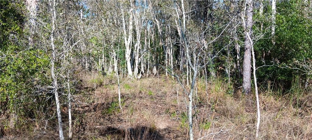 Vista Ridge DR, FORT MYERS FL 33913-2