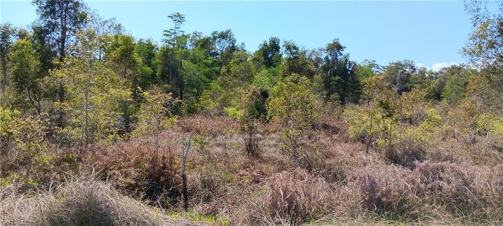 Vista Ridge DR, FORT MYERS FL 33913-4