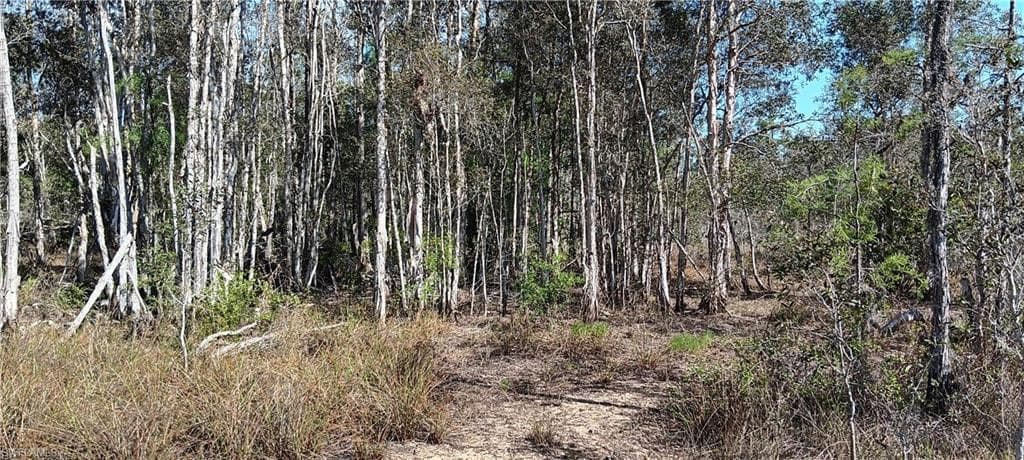 Vista Ridge DR, FORT MYERS FL 33913-1