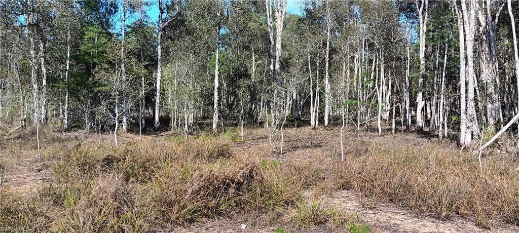 Vista Ridge DR, FORT MYERS FL 33913-4