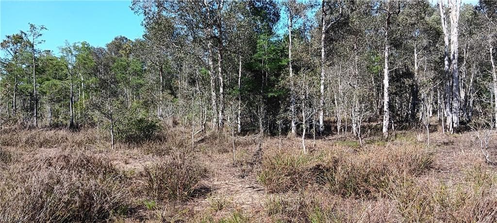 Vista Ridge DR, FORT MYERS FL 33913-3