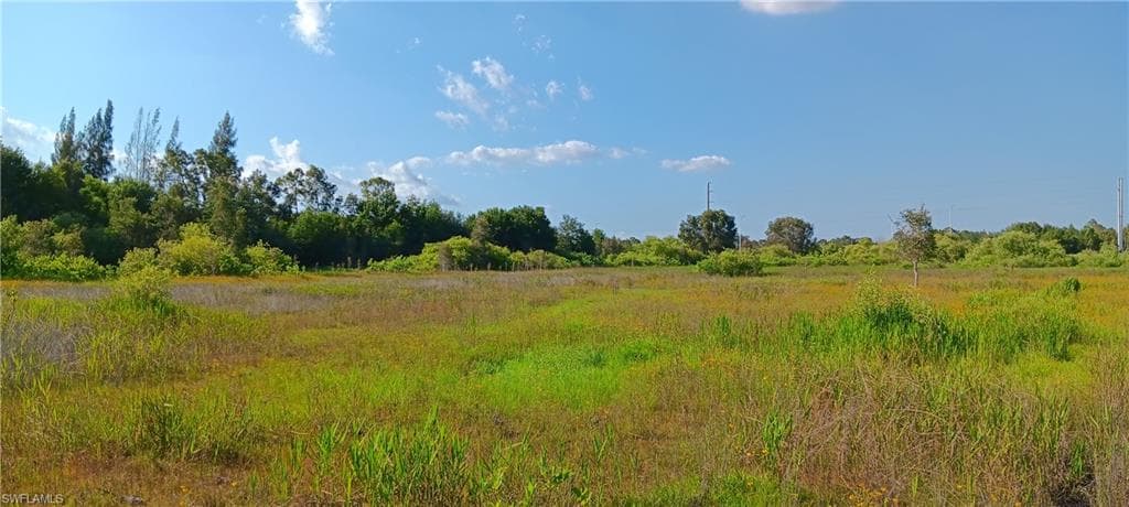 11641 Gooden Grove RD, FORT MYERS FL 33913-1