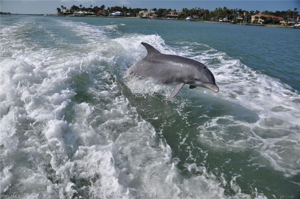 275 Cays DR # 2208, NAPLES FL 34114-45