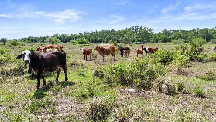 2777 Everhigh Acres RD, CLEWISTON FL 33440-6