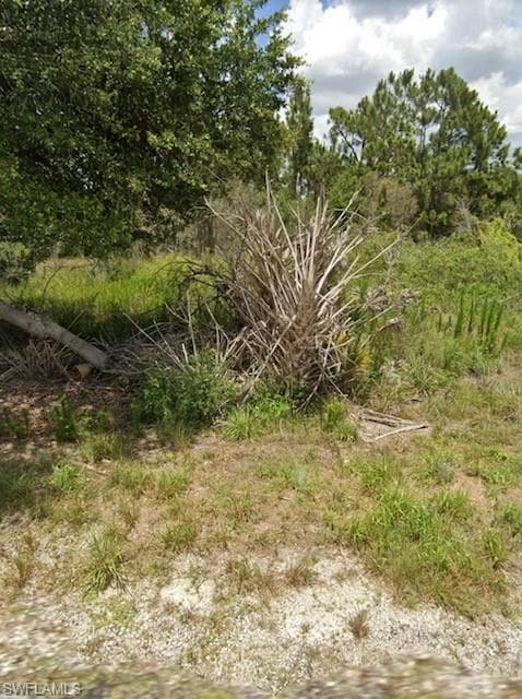 929 Grafton ST, LEHIGH ACRES FL 33974-1