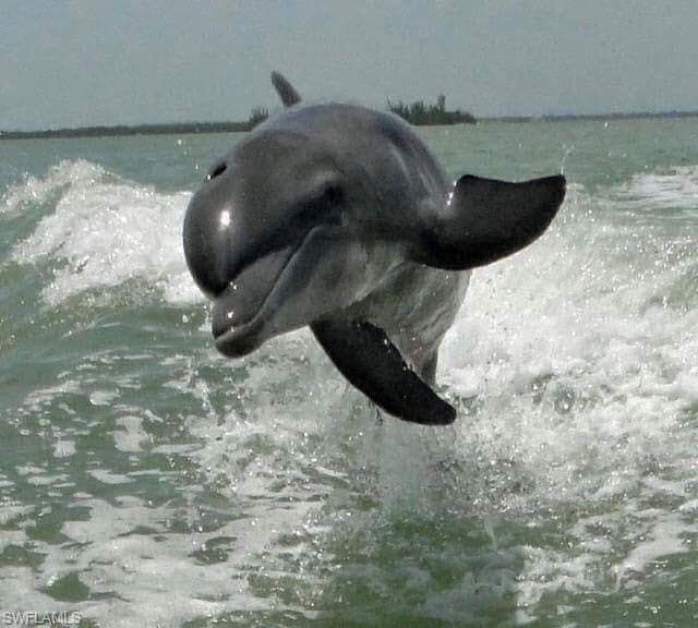 18038 San Carlos BLVD # 115, FORT MYERS BEACH FL 33931-47