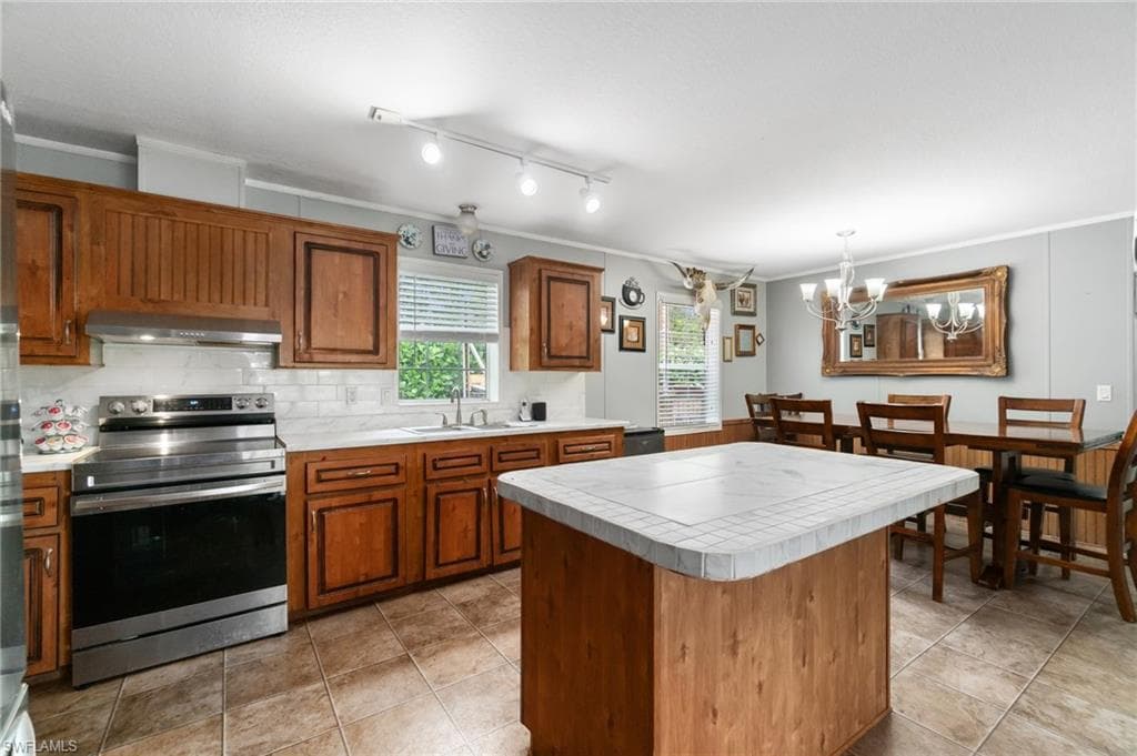 11068 New Moon CT, BONITA SPRINGS FL 34135-5