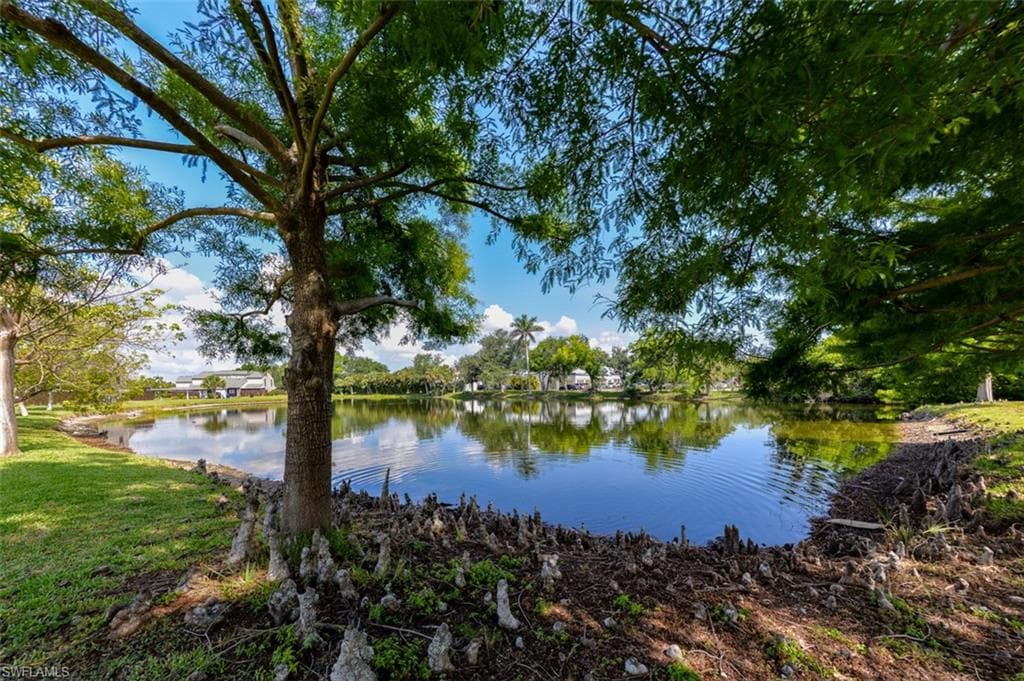 12964 Meadowood CT, FORT MYERS FL 33919-6