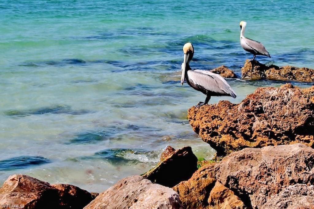 4007 Recreation LN, NAPLES FL 34116-22