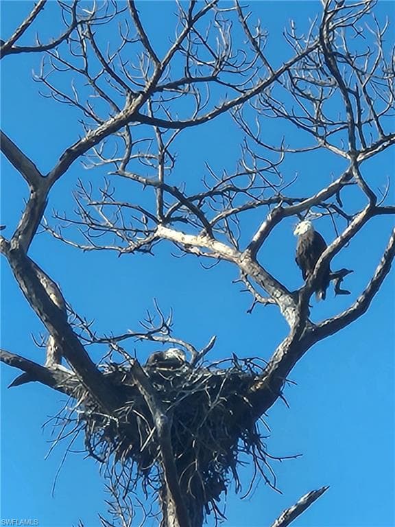 777 Walkerbilt RD, NAPLES FL 34110-5