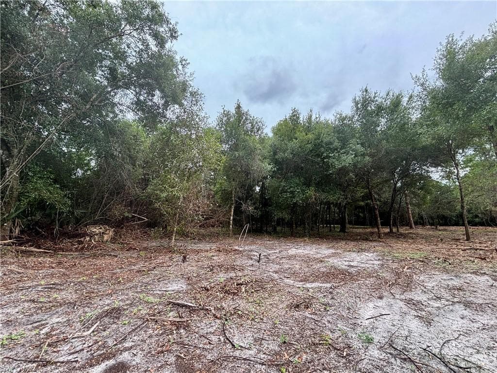 4600 Pioneer 17th ST, CLEWISTON FL 33440-6