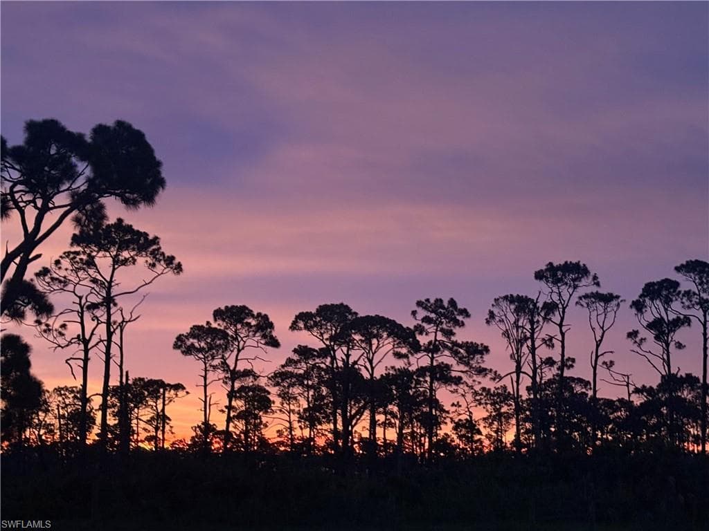 20551 Armada CT, ESTERO FL 33928-1