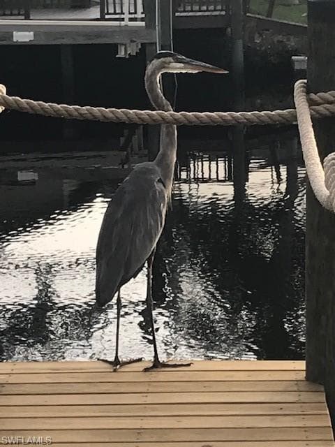 2131 Saint Croix AVE, FORT MYERS FL 33905-44