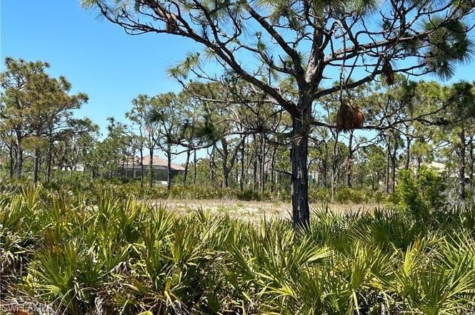 6117 Calusa Ridge TRL, BOKEELIA FL 33922-4