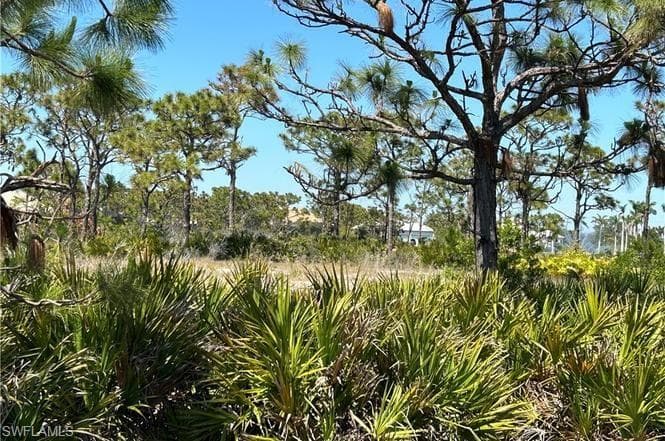 6117 Calusa Ridge TRL, BOKEELIA FL 33922-3