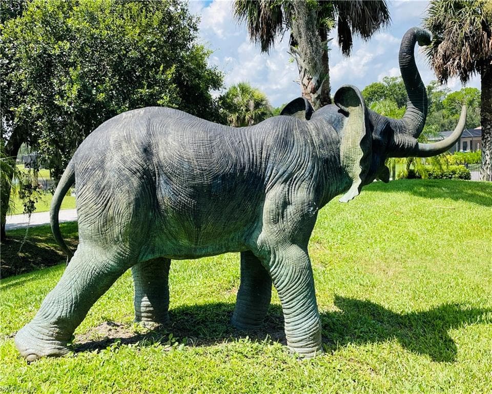 17190 Serengeti CIR, ALVA FL 33920-48