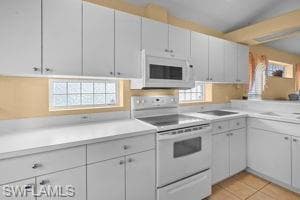 13421 Wild Cotton CT, NORTH FORT MYERS FL 33903-13