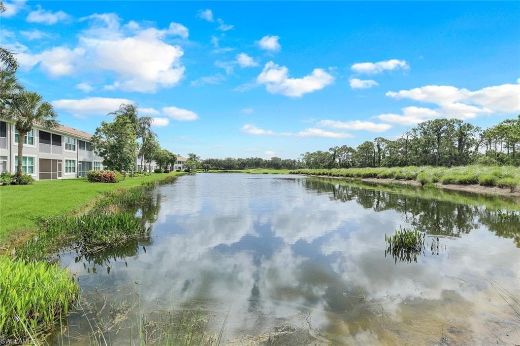 9331 Spring Run BLVD # 3003, ESTERO FL 34135-29