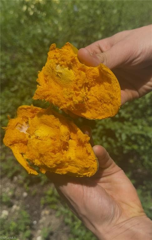 2432 54th AVE NE, NAPLES FL 34120-9