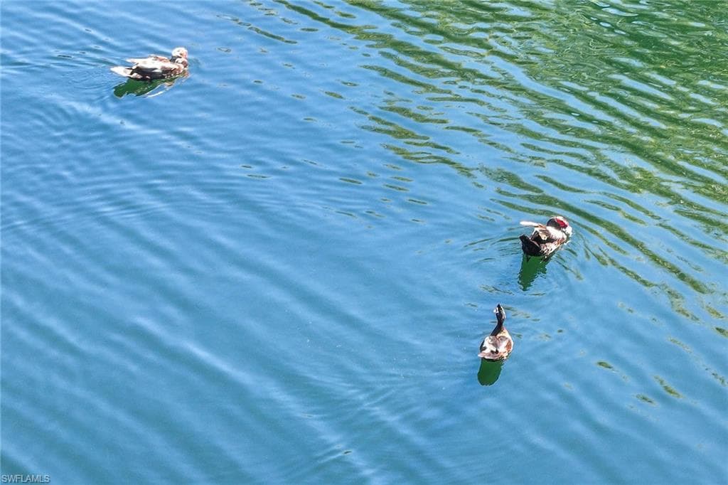 1821 Tarpon Bay DR S, NAPLES FL 34119-28