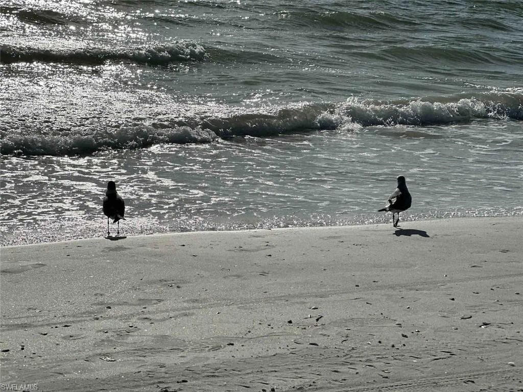 13527 Siesta Pines CT, FORT MYERS FL 33908-26