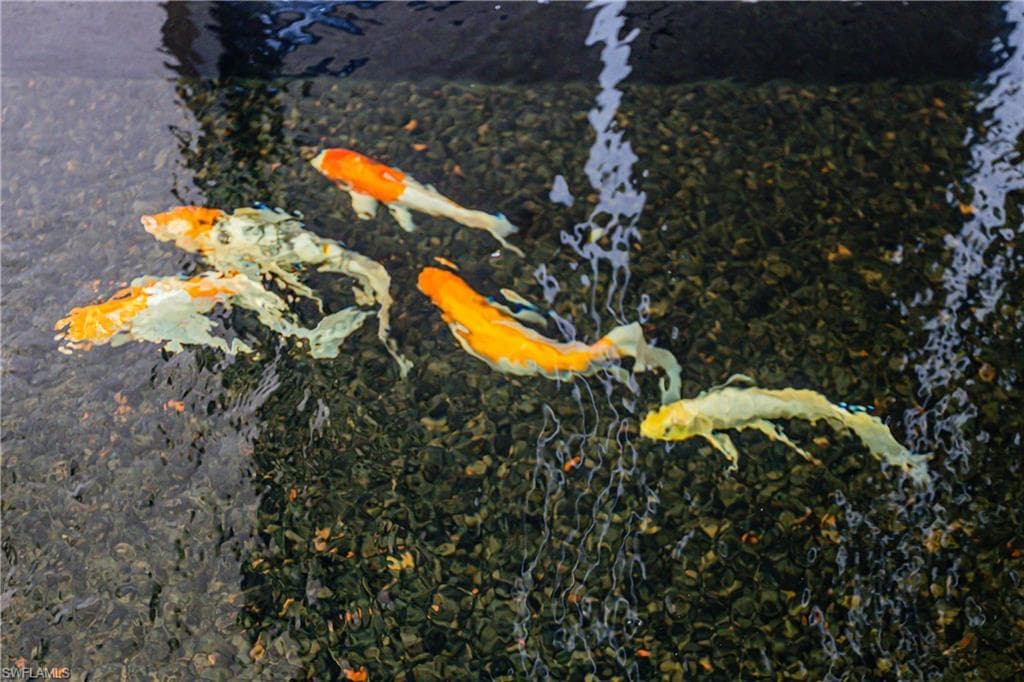 4457 Club Estates DR, NAPLES FL 34112-43