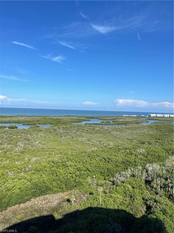 900 Arbor Lake DR # 501, NAPLES FL 34110-1