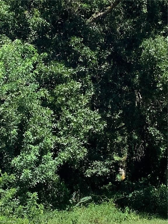 4910 N Miraham DR, IMMOKALEE FL 34142-3