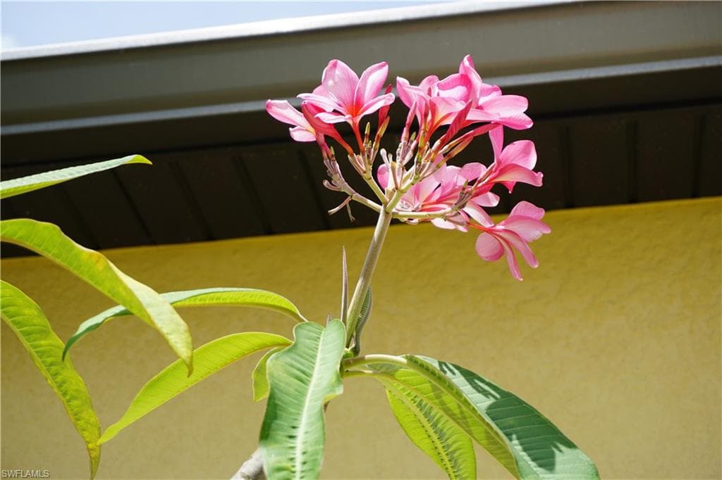 25115 Esmeralda CT, PUNTA GORDA FL 33955-47