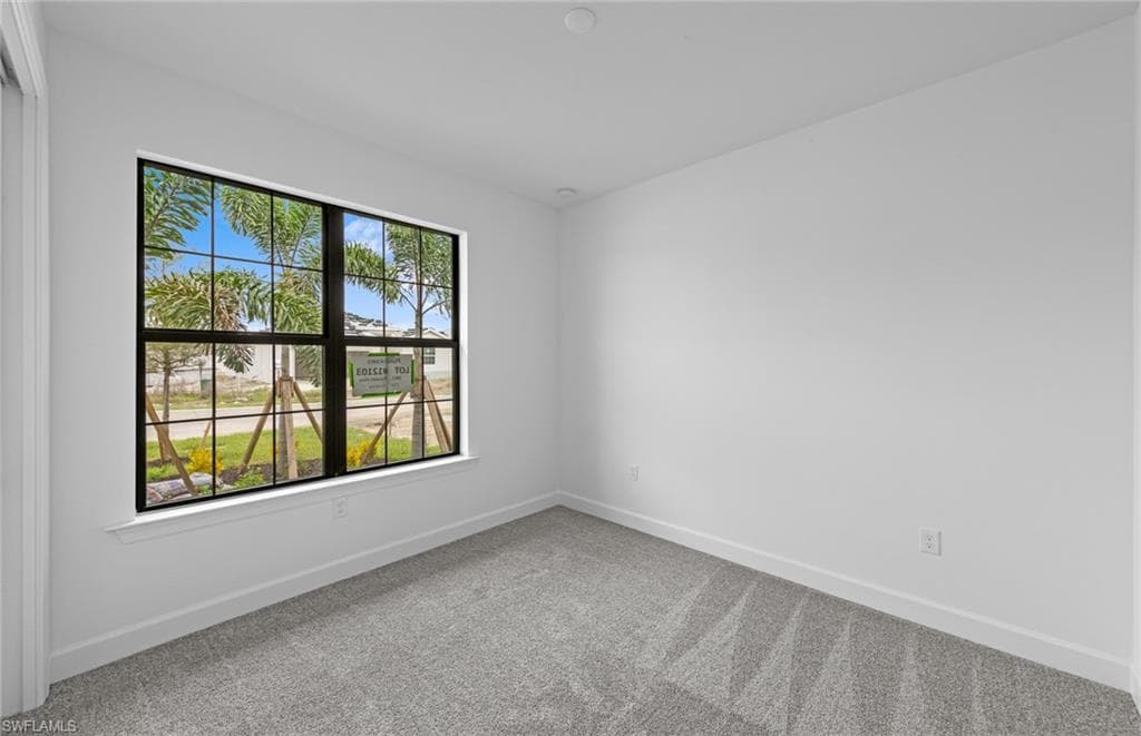 3861 Passion Vine DR, ALVA FL 33920-12