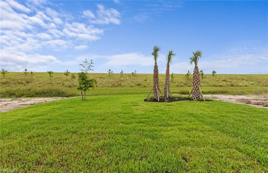 3861 Passion Vine DR, ALVA FL 33920-19