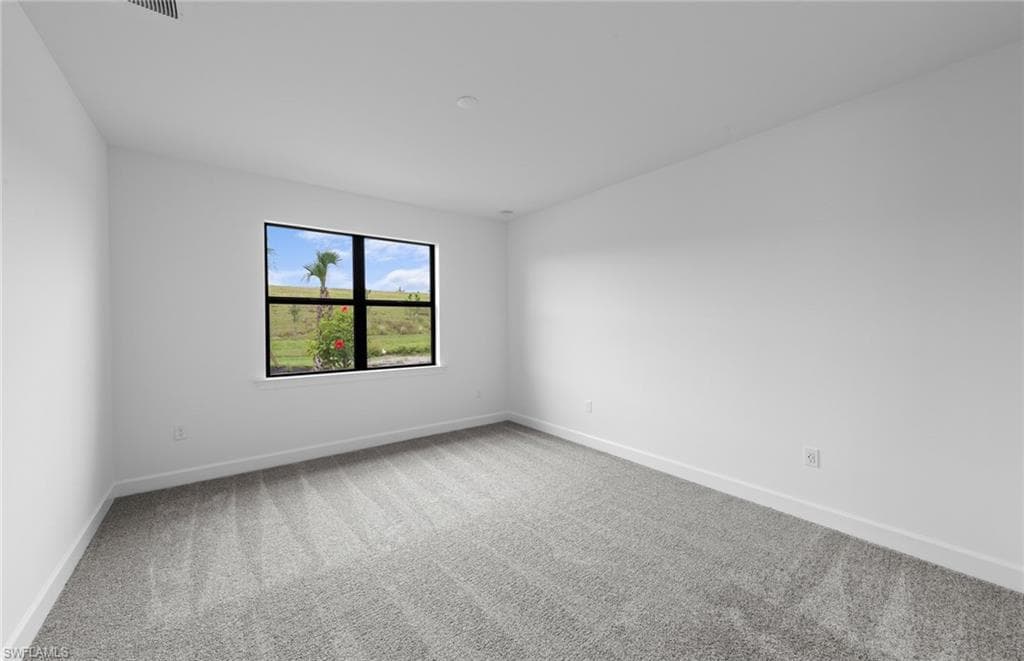 3861 Passion Vine DR, ALVA FL 33920-8