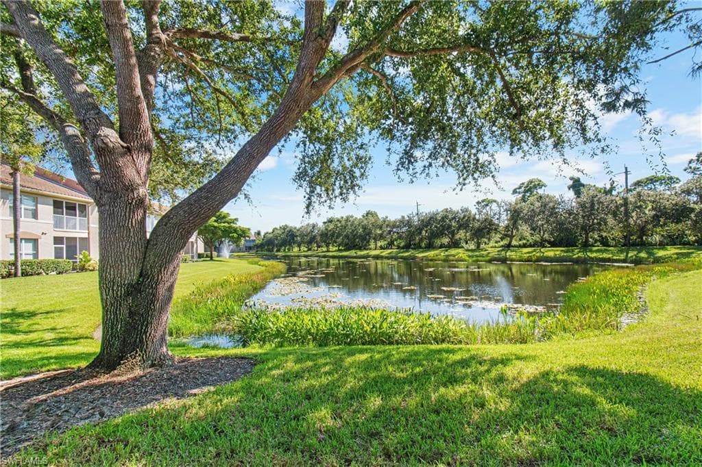 14550 Daffodil DR # 1003, FORT MYERS FL 33919-34