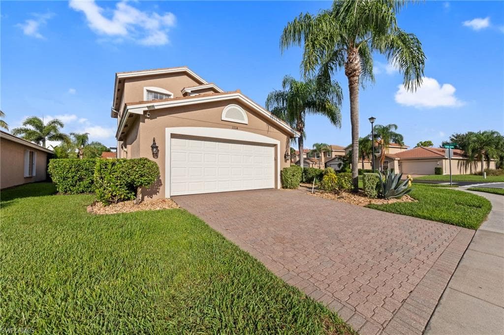 11114 Peace Lilly WAY-1