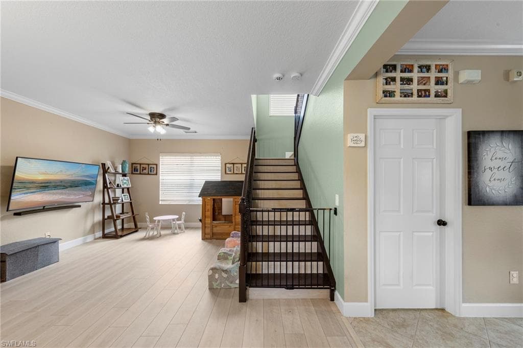 11114 Peace Lilly WAY-6