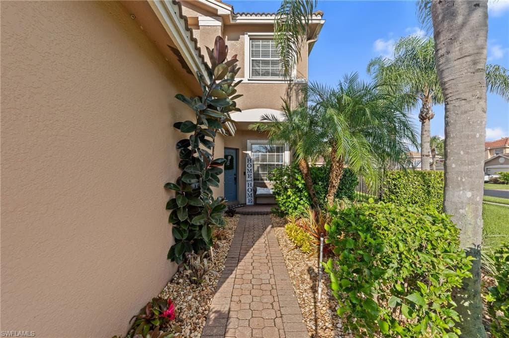 11114 Peace Lilly WAY-2