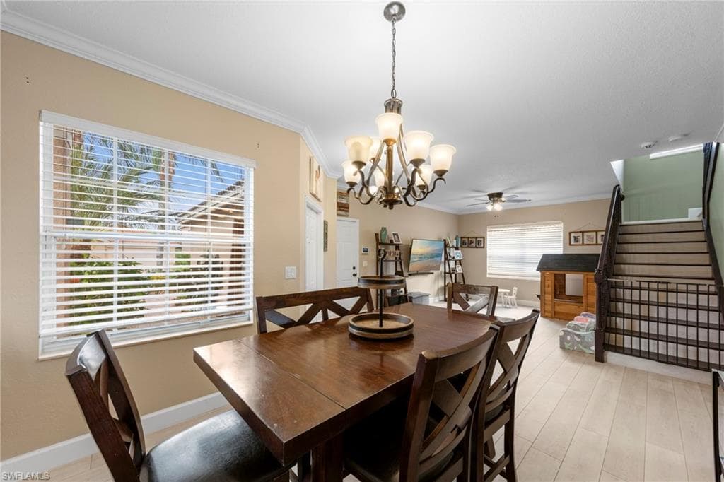 11114 Peace Lilly WAY-8